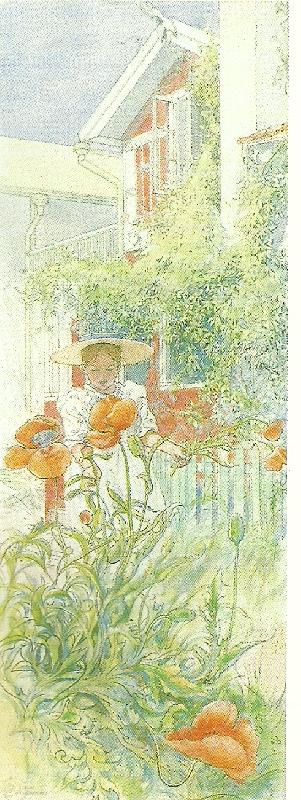 Carl Larsson vallma